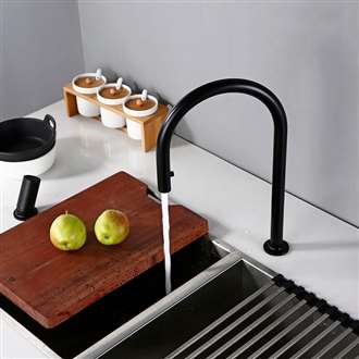 Fontana Carpi Matt Black Swivel Faucet with Pull Down Sprayer