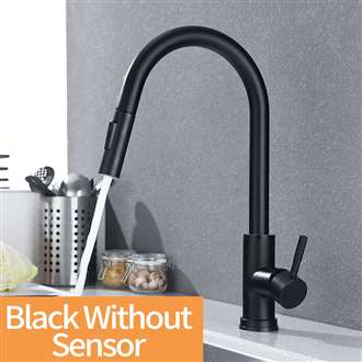 Black Stainless Steel Kitchen Faucet