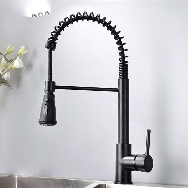 Fontana Bavaria Matte Black Finish No Sensor Stainless Steel Kitchen Faucet