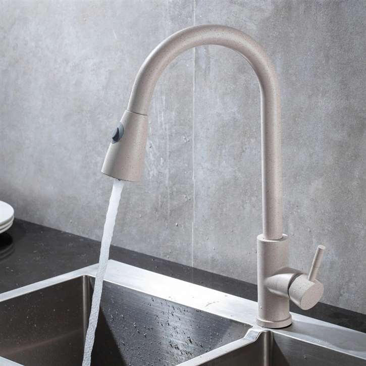 Fontana St. Gallen Gray Sensorless Kitchen Faucet with Pull Down Sprayer
