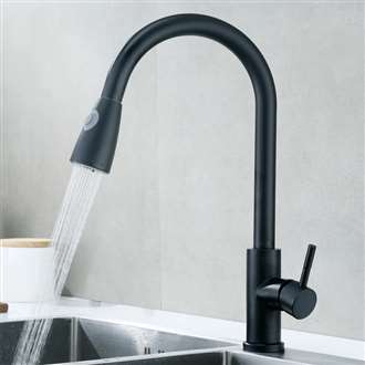 Fontana Melun Matte Black Sensorless Kitchen Faucet with Pull Down Sprayer