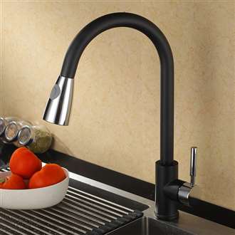Fontana SÃƒÂ©nart Chrome Black Sensorless Kitchen Faucet with Pull Down Sprayer
