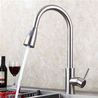 Fontana Bavaria Brushed Nickel Sensorless Kitchen Faucet with Pull Down Sprayer
