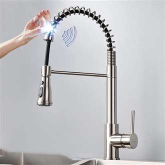 Fontana Verona Brushed Nickel Finish with Pull Down Sprayer Stainless Steel Smart Sensor Kitchen Faucet