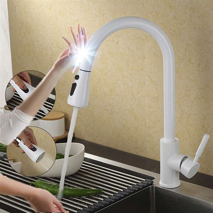 Fontana SÃ¨te Gooseneck Smart Sensor White Finish Kitchen Faucet with Pull Down Sprayer