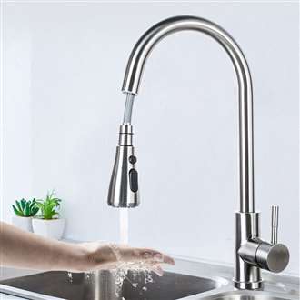 Fontana Marsala Gooseneck Sensorless Brushed Nickel Finish Kitchen Faucet with Pull Down Sprayer