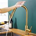 Fontana Dijon Stainless Steel Pull Down Kitchen Faucet with Assistive Touch in Gold Finish