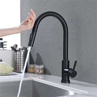 Fontana Geneva Stainless Steel Pull Down Kitchen Faucet with Assistive Touch in Matte Black Finish