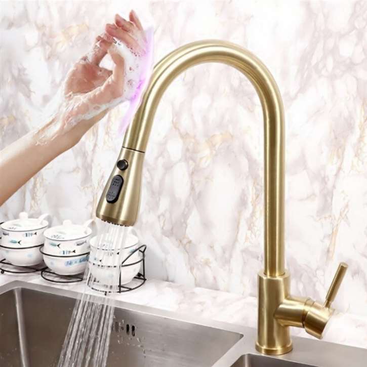 Fontana Deauville Stainless Steel Pull Down Kitchen Faucet with Assistive Touch in Gold Finish