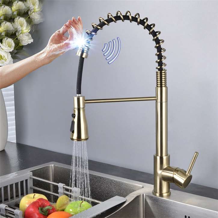 Fontana SÃ©nart Stainless Steel Pull Down Kitchen Faucet with Assistive Touch in Gold Finish