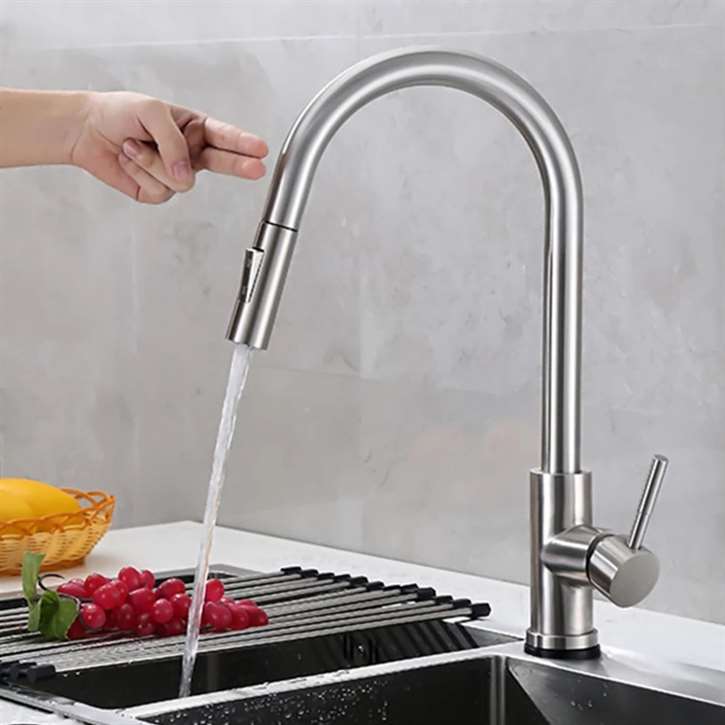 Fontana Lyon Chrome Finish Stainless Steel Kitchen Faucet with Pull Down Sprayer