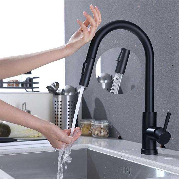 Fontana Toulouse Matte Black Finish Stainless Steel Kitchen Faucet with Pull Down Sprayer