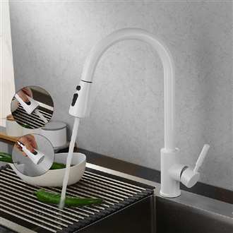 Fontana Valence White Finish Stainless Steel Kitchen Faucet with Pull Down Sprayer