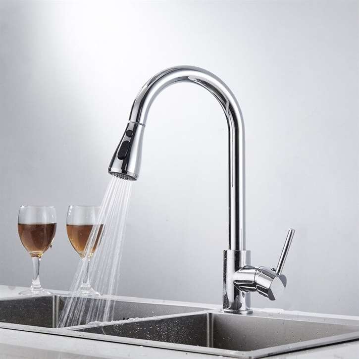 Fontana Carpi Chrome Finish Stainless Steel Kitchen Faucet with Pull Down Sprayer