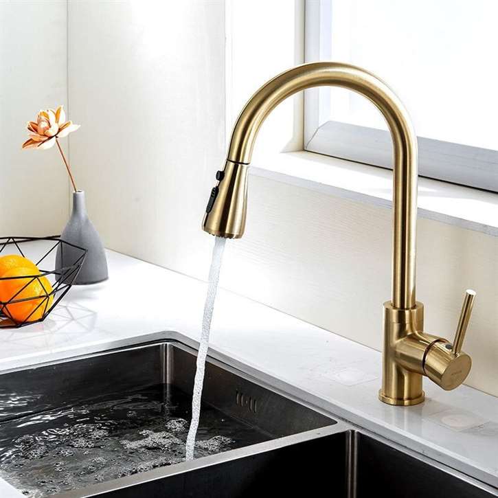 Fontana Verona Gold Finish Stainless Steel Kitchen Faucet with Pull Down Sprayer