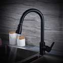 Fontana BollnÃ¤s Matte Black Finish Stainless Steel Kitchen Faucet with Pull Down Sprayer