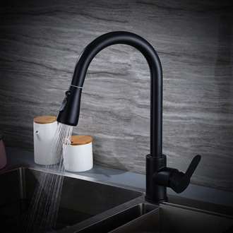 Fontana BollnÃ¤s Matte Black Finish Stainless Steel Kitchen Faucet with Pull Down Sprayer