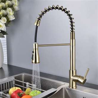 Fontana Dijon Gold Finish Stainless Steel Kitchen Faucet with Pull Down Sprayer