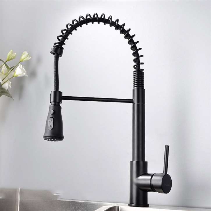 Fontana Geneva Matte Black Finish Stainless Steel Kitchen Faucet with Pull Down Sprayer