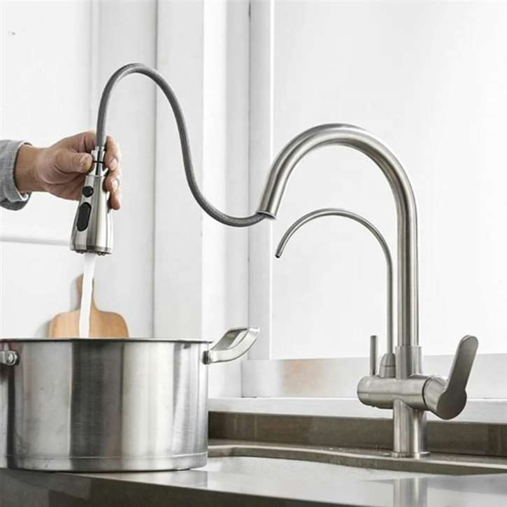 Fontana Bavaria Pull Down with Filter Control Kitchen Faucet in Brushed Nickel Finish