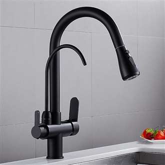 Fontana SÃƒÂ¨te Pull Down with Filter Control Kitchen Faucet in Matte Black Finish