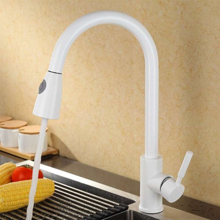 Fontana Lyon White Finish with Pull Down Sprayer Kitchen Faucet