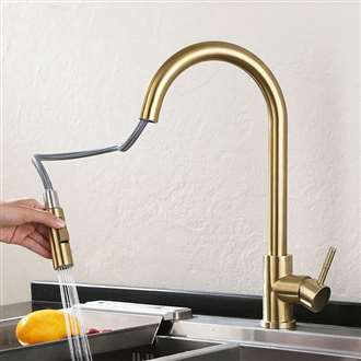 Fontana Carpi Gold Finish with Pull Down Sprayer Kitchen Sink Faucet