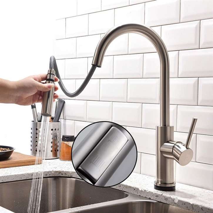 Fontana Dijon Brushed Nickel Finish with Pull Down Sprayer Kitchen Sink Faucet