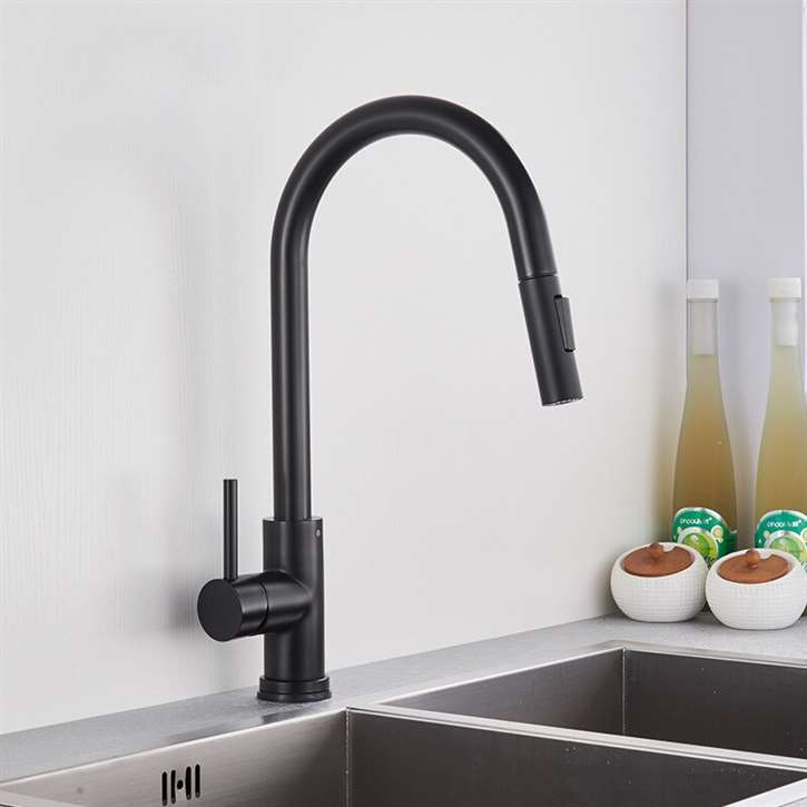 Fontana BollnÃ¤s Matte Black Finish with Pull Down Sprayer Kitchen Sink Faucet