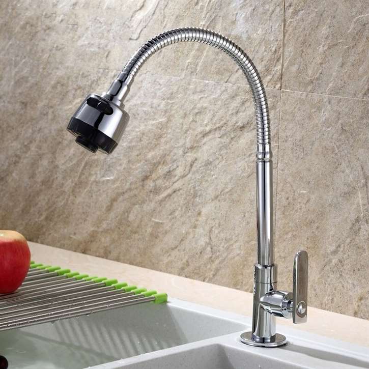 Fontana BollnÃ¤s Gooseneck Shape Kitchen Sink Faucet with Round Head in Chrome Finish