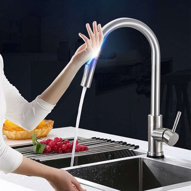 Fontana Dijon Brushed Nickel Stainless Steel Pull Out Sensor Touch Kitchen Sink Faucet