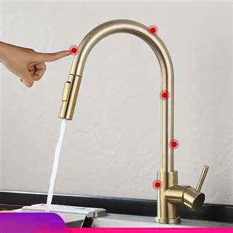 Fontana Creteil Gold Finish Stainless Steel Pull Out Sensor Touch Kitchen Sink Faucet