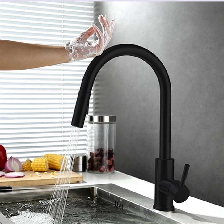 Fontana Geneva Matte Black Stainless Steel Pull Out Sensor Touch Kitchen Sink Faucet