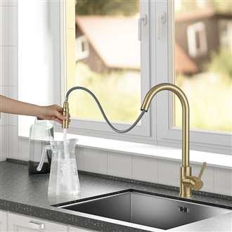 Fontana Dax Stainless Steel Gooseneck Kitchen Sink Faucet in Gold