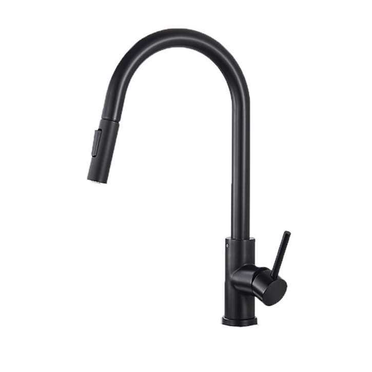 FontanaShowers® Dax Stainless Steel Gooseneck Kitchen Sink Faucet in Matte Black