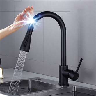 Fontana Le Havre Matte Black Pull Out Sensor Touch Kitchen Sink Faucet with Button For Two Way Flow