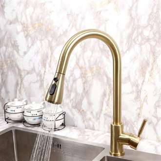 Fontana Valence Gold Finish Kitchen Sink Stainless Steel Faucet