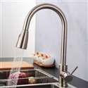 Fontana Verona Brushed Nickel Faucet with Push Button for Two Way Flow Kitchen Sink Faucet