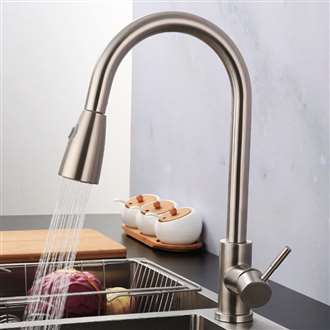 Fontana Verona Brushed Nickel Faucet with Push Button for Two Way Flow Kitchen Sink Faucet