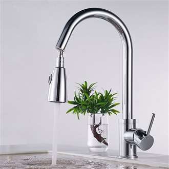Fontana Carpi Chrome Faucet with Push Button for Two Way Flow Kitchen Sink Faucet