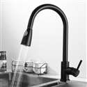 Fontana BollnÃ¤s Matte Black Faucet with Push Button for Two Way Flow Kitchen Sink Faucet