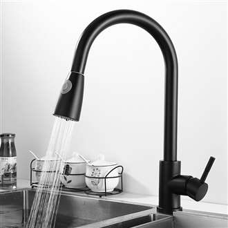 Fontana BollnÃ¤s Matte Black Faucet with Push Button for Two Way Flow Kitchen Sink Faucet