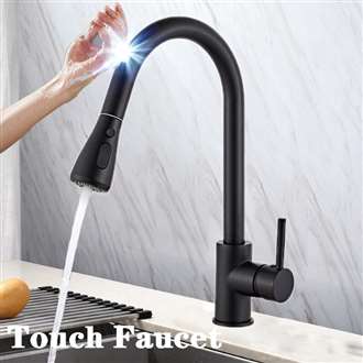 Fontana Deauville Matte Black Gooseneck Pull Out Sprayer Sensor Touch Kitchen Sink Faucet
