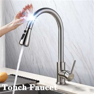 Fontana SÃ©nart Brushed Nickel Gooseneck Pull Out Sprayer Sensor Touch Kitchen Sink Faucet