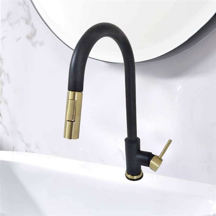 Fontana Bavaria Black Gold 360 Rotation Kitchen Sink Faucet with Pull Out Sprayer