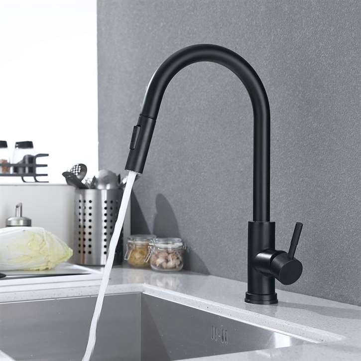 Fontana Bavaria Matte Black 360 Rotation Kitchen Sink Faucet with Pull Out Sprayer