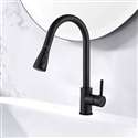 Fontana Toulouse 360 Rotation Pull Out Sprayer with Button For Two Way Flow in Matte Black Kitchen Sink Faucet