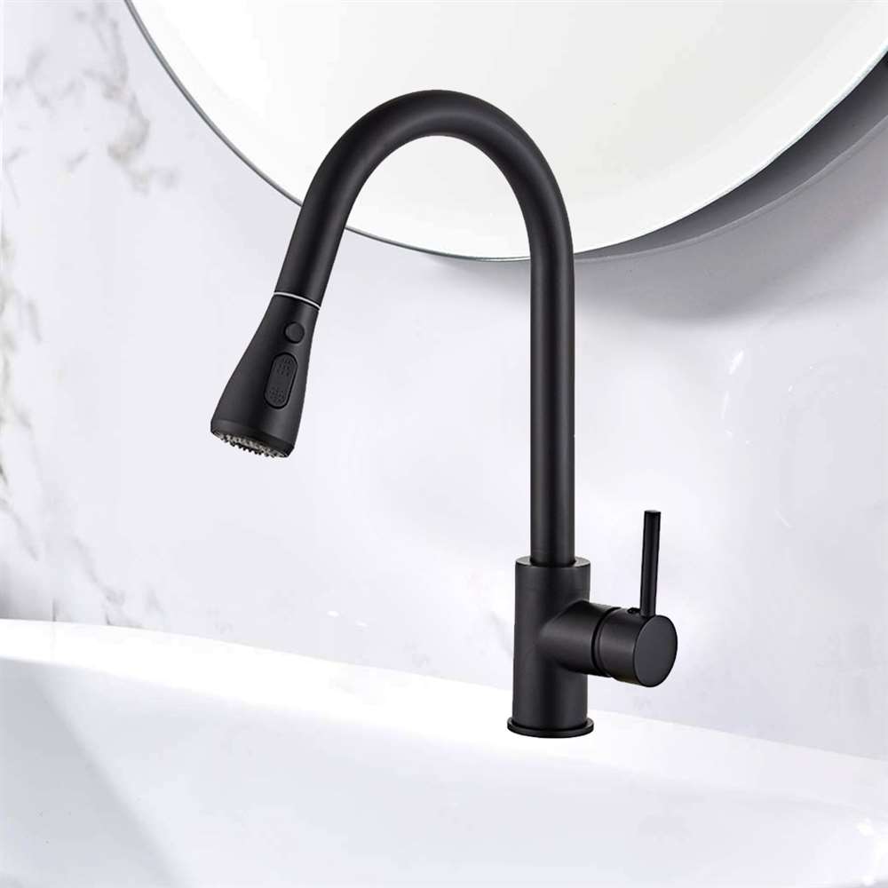 Matte Black Kitchen Sink Faucet Pull Down Sprayer Single Handle