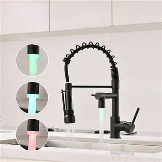 Fontana Creteil Black Kitchen Faucet Single Handle Pull Down Sprayer Kitchen Sink Faucet with LED Spout