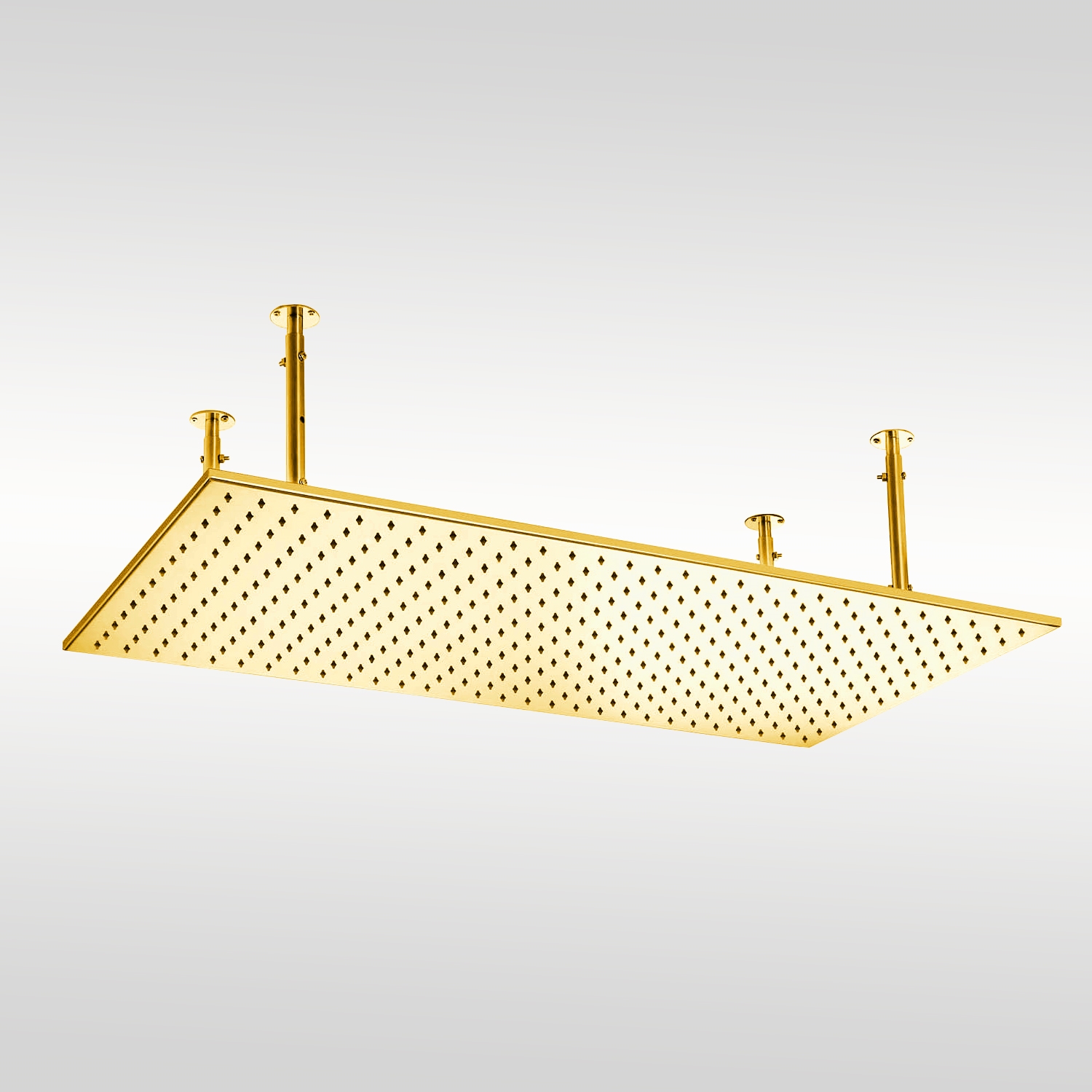 Vicenza 20x40in Polished Gold Shower Head